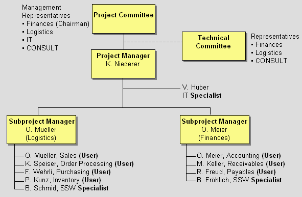 Project Organization And Responsibilities In Software Project